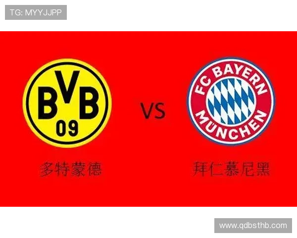 德甲转会新势力